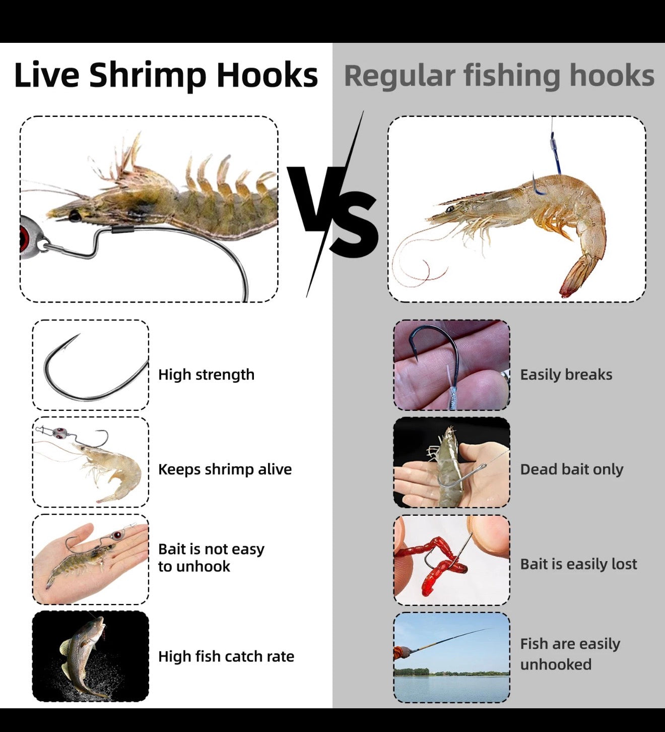 (10) Hook Bands For Live Shrimp™